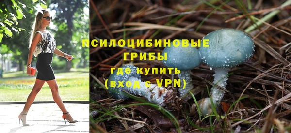 меф Бородино