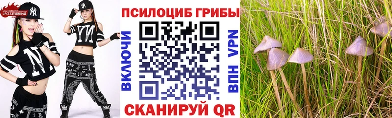 цена наркотик Сосногорск Псилоцибиновые грибы Psilocybe